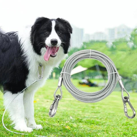 laisse pour chien a fil avec clip cable en acier robuste