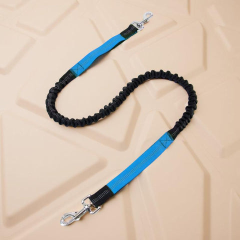 laisse pour chien ceinture mains libres bleue