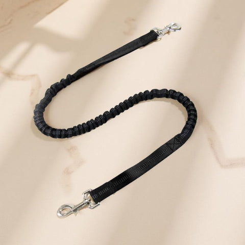 laisse pour chien ceinture mains libres noire