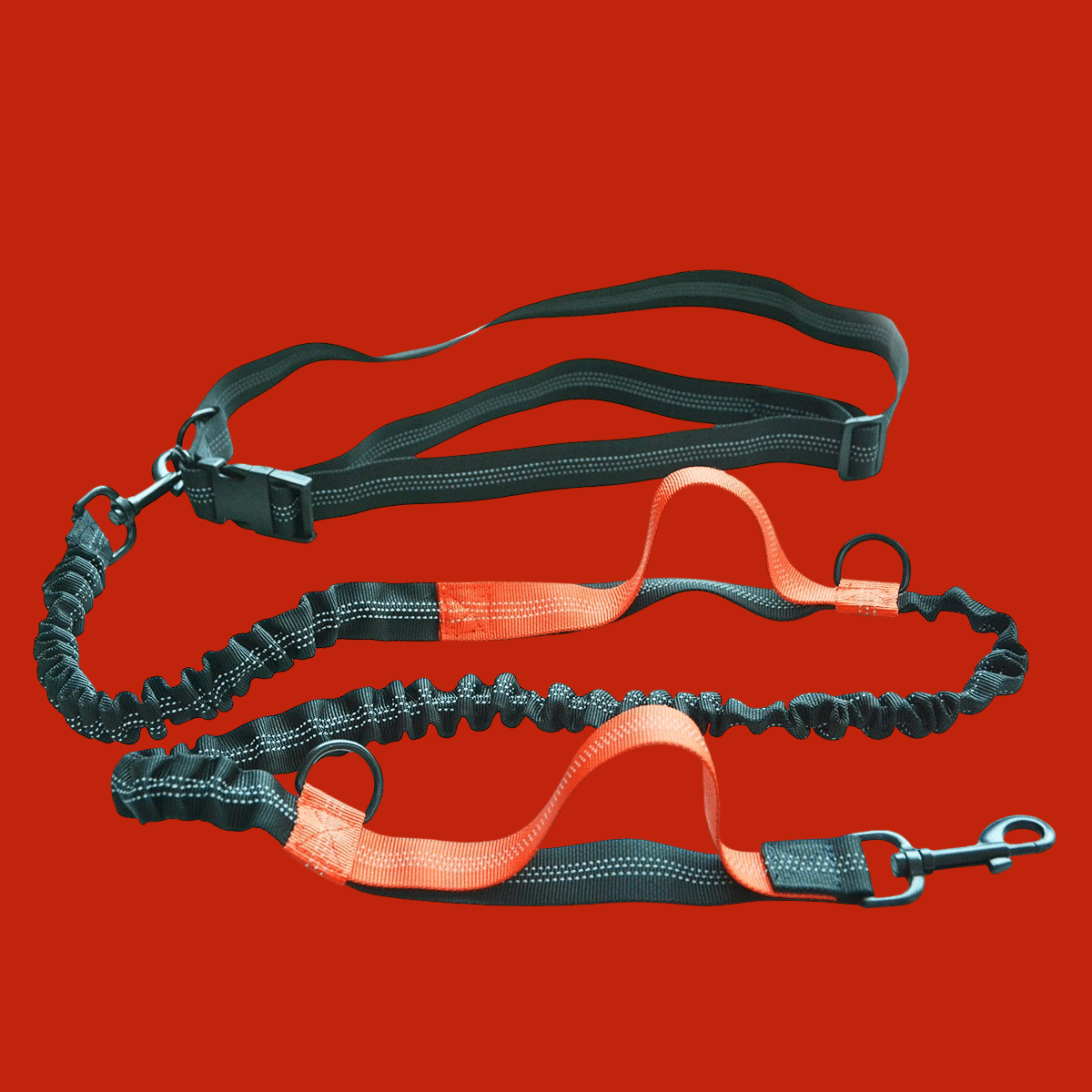 LAISSE POUR CHIEN | CEINTURE MAINS LIBRES REGLABLE - Les chiens beaux