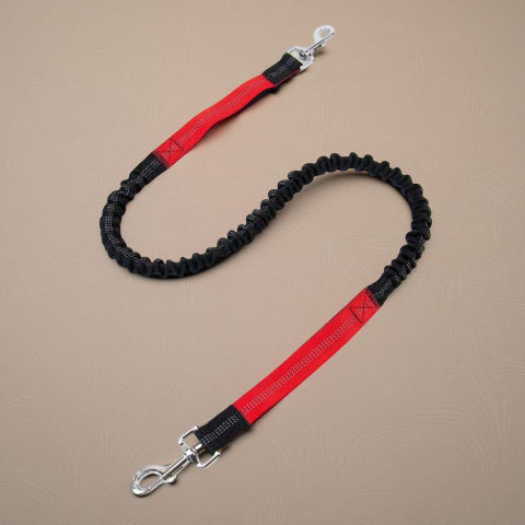 laisse pour chien ceinture mains libres rouge
