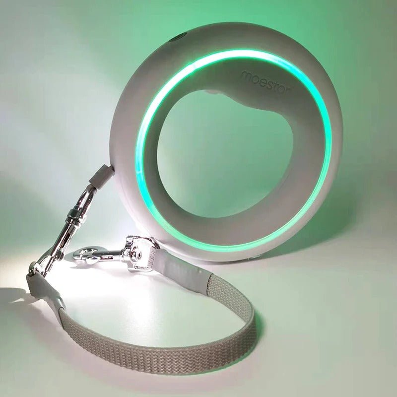 Laisse pour chien | LED rétractable - Les chiens beaux