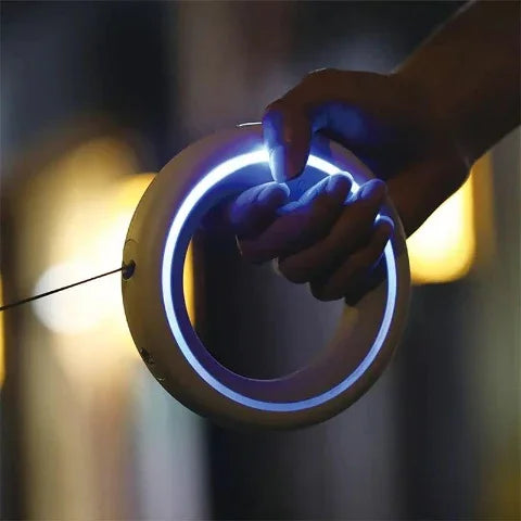 laisse pour chien led retractable avec une lumiere eclairant la nuit
