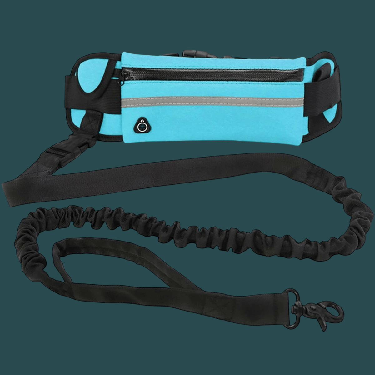 Laisse pour chien | Main libre - Les chiens beaux