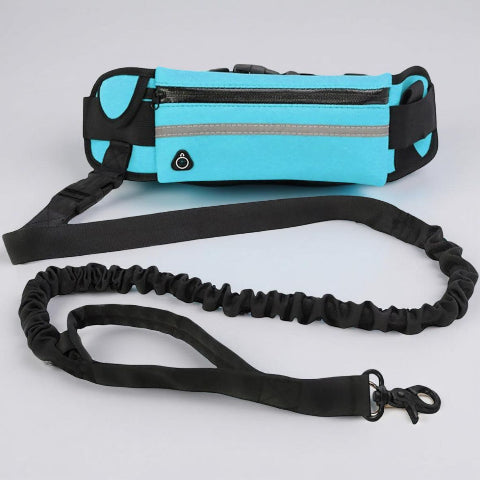 laisse pour chien main libre bleue robuste