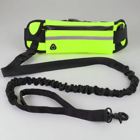 laisse pour chien main libre verte jolie