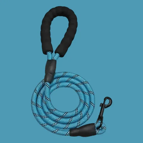laisse pour chien rembouree bleue