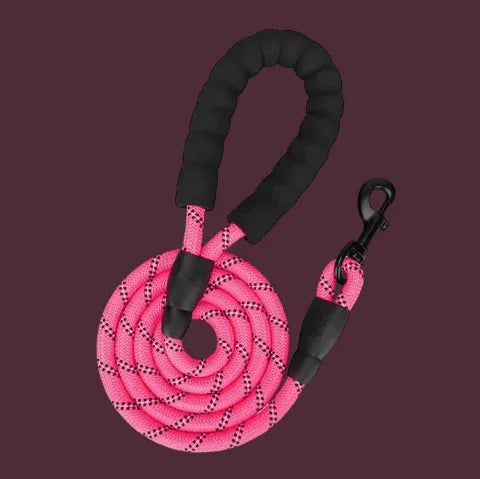 laisse pour chien rembouree rose