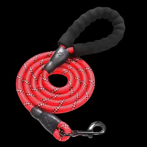 laisse pour chien rembouree rouge