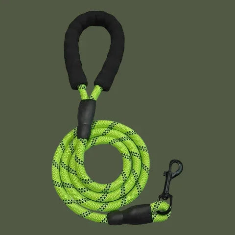 laisse pour chien rembouree verte