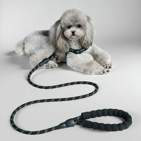 laisse pour chien rembourree noire indispensable