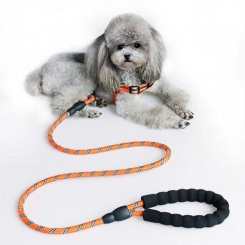 laisse pour chien rembourree orange indispensable