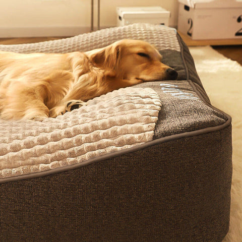 lit pour chien resistant