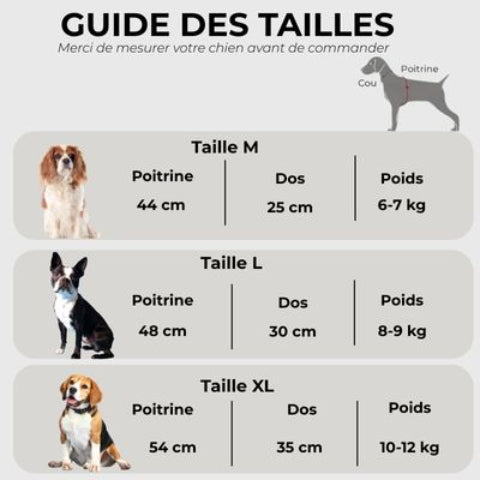 manteau pour chien raincoat Guide des tailles