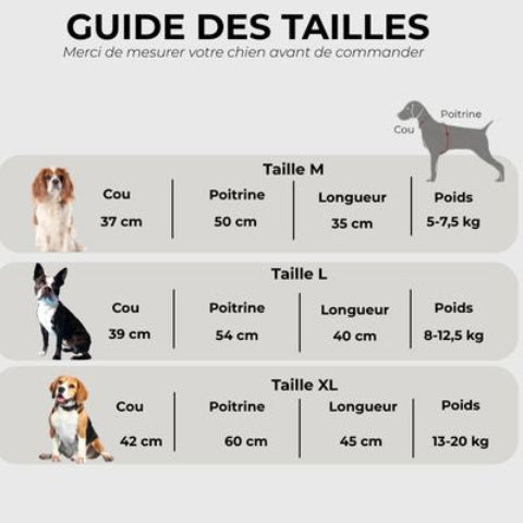 manteau pour chien wetguard Guide des tailles