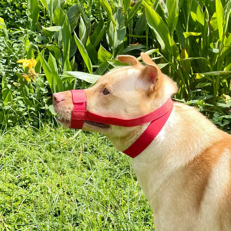 MUSELIERE CHIEN | BOUCLE EN POLYESTER - Les chiens beaux