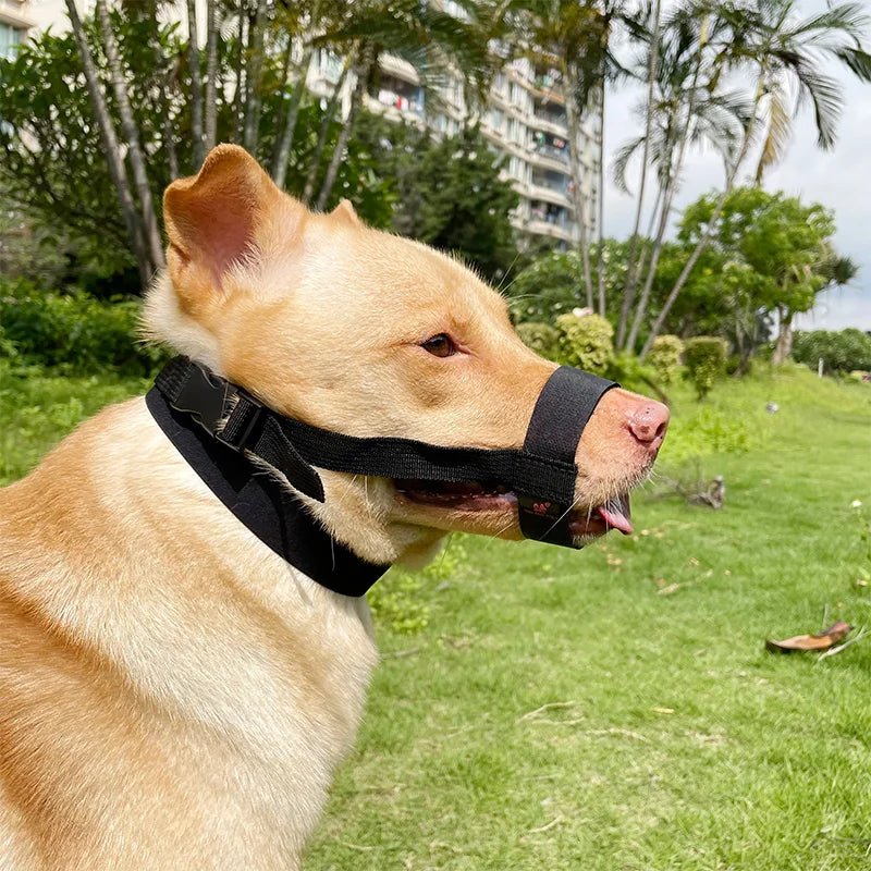 MUSELIERE CHIEN | BOUCLE EN POLYESTER - Les chiens beaux