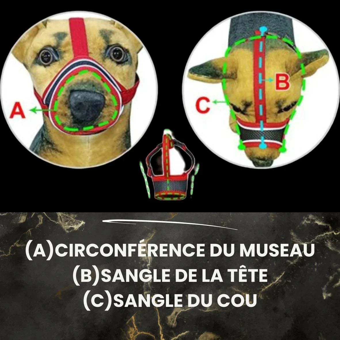 MUSELIERE CHIEN | MAILLE SERRÉE - Les chiens beaux