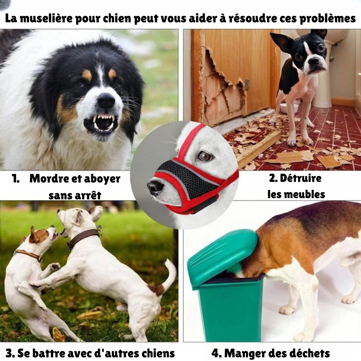 MUSELIERE CHIEN | MAILLE SERRÉE - Les chiens beaux