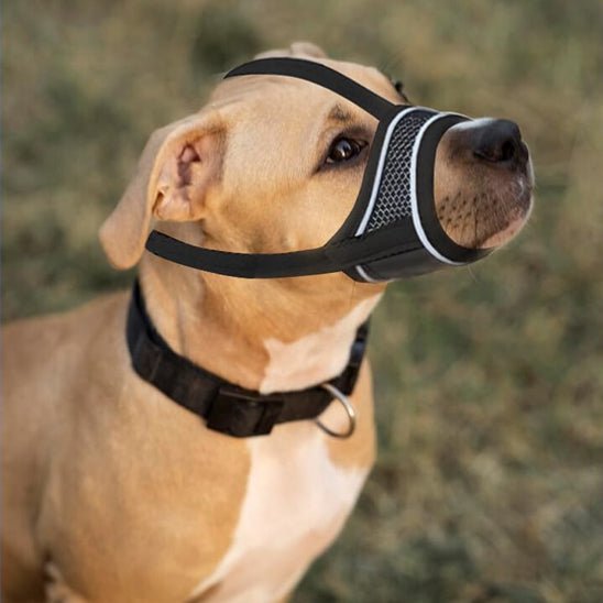 MUSELIERE CHIEN | MAILLE SERRÉE - Les chiens beaux