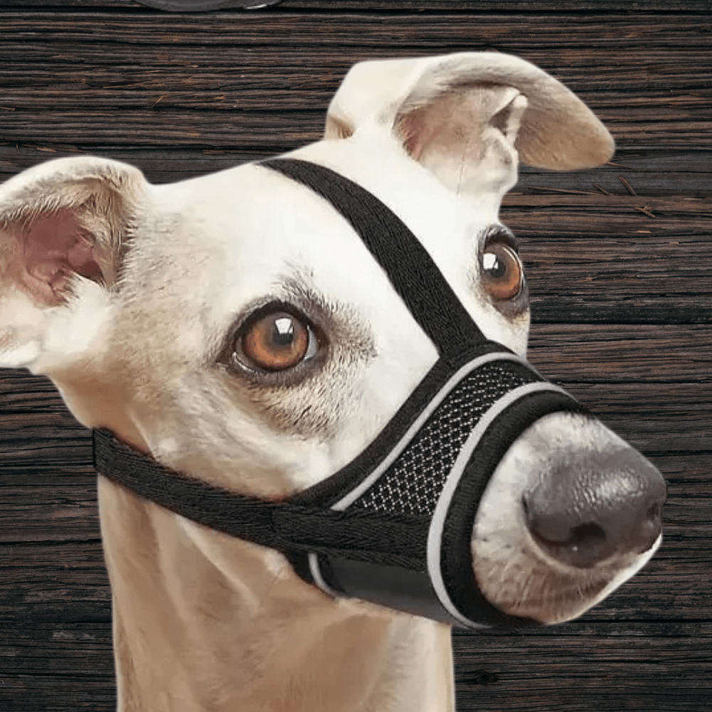 MUSELIERE CHIEN | MAILLE SERRÉE - Les chiens beaux