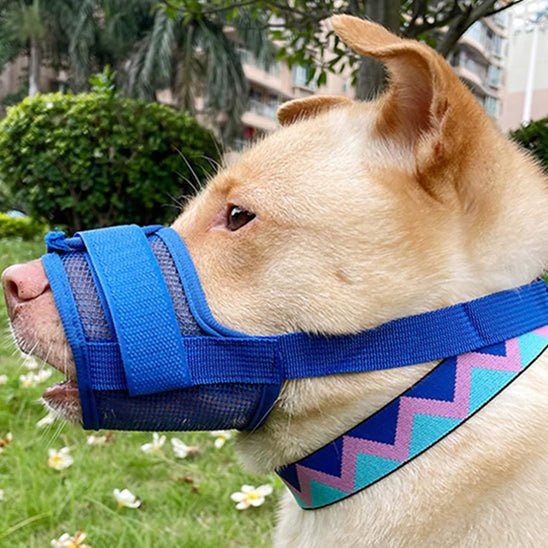 Muselière chien | Masque en Maille - Les chiens beaux