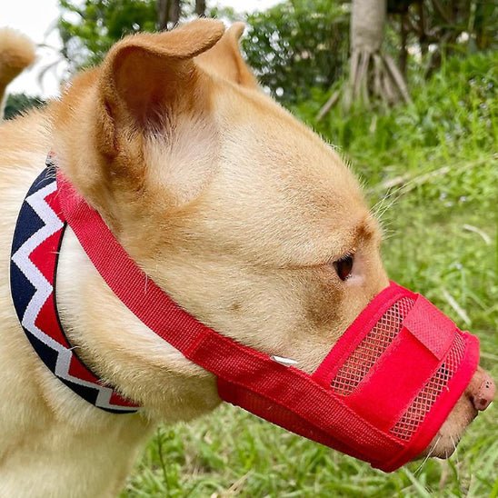 Muselière chien | Masque en Maille - Les chiens beaux