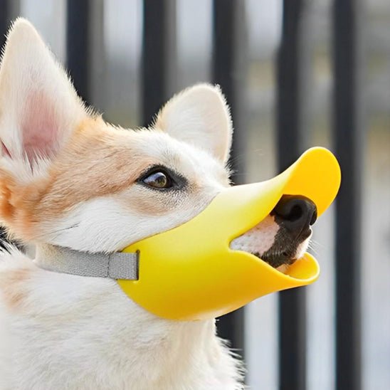 Muselière pour chien | Canard - Les chiens beaux