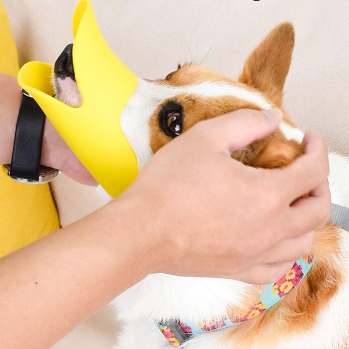 Muselière pour chien | Canard - Les chiens beaux