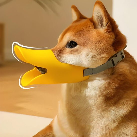 Muselière pour chien | Canard - Les chiens beaux