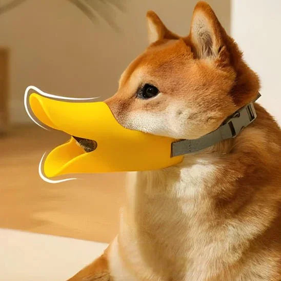 Muselière pour chien | Canard - Les chiens beaux