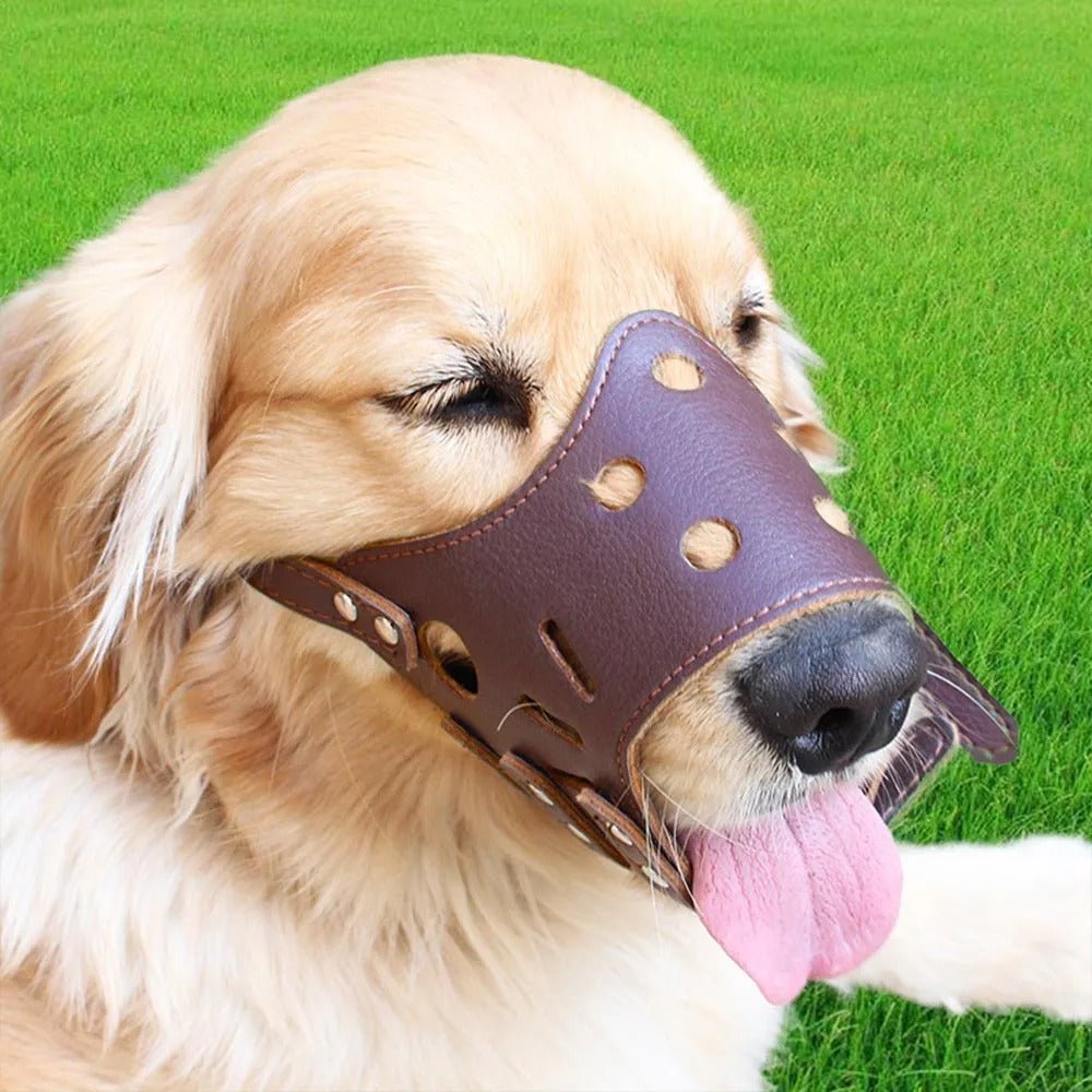 Muselière pour chien | Cuir PU - Les chiens beaux