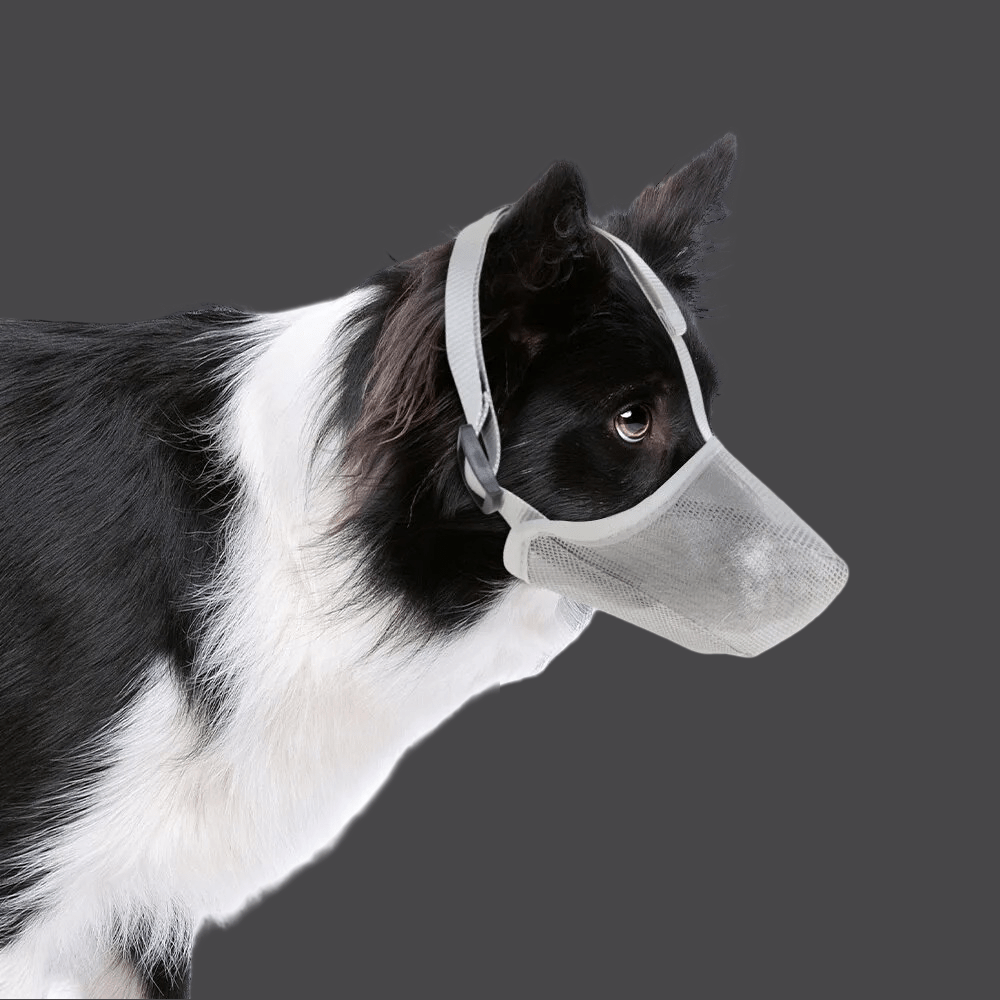 Muselière pour chien | Maille douce - Les chiens beaux