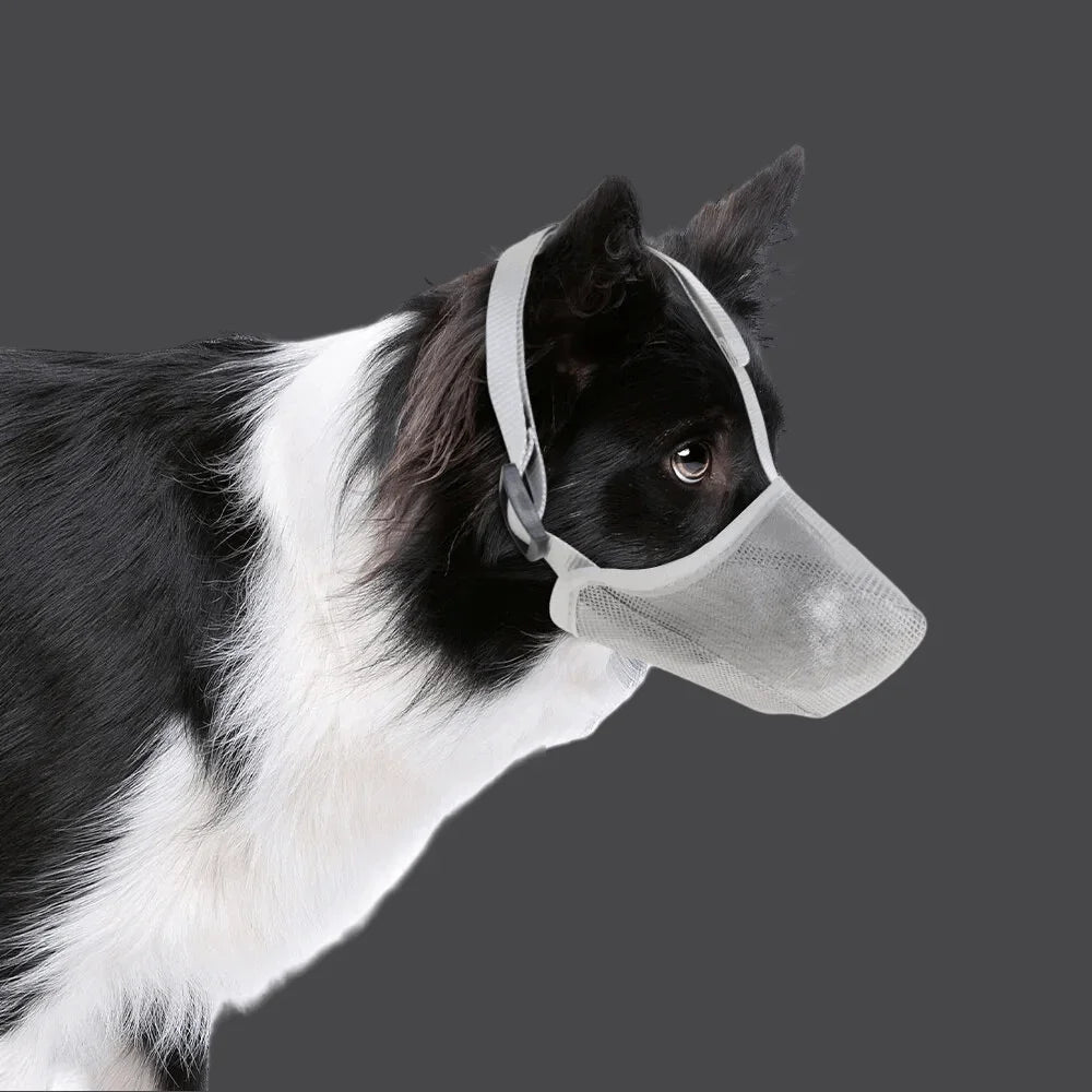 Muselière pour chien | Maille douce - Les chiens beaux