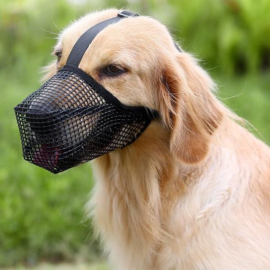Muselière pour chien | Maille douce - Les chiens beaux