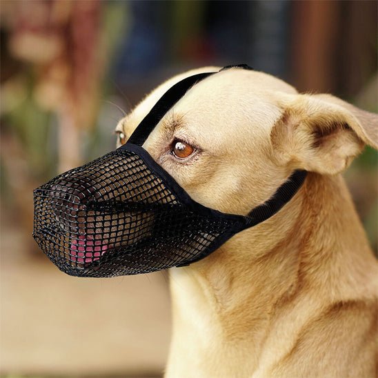 Muselière pour chien | Maille douce - Les chiens beaux