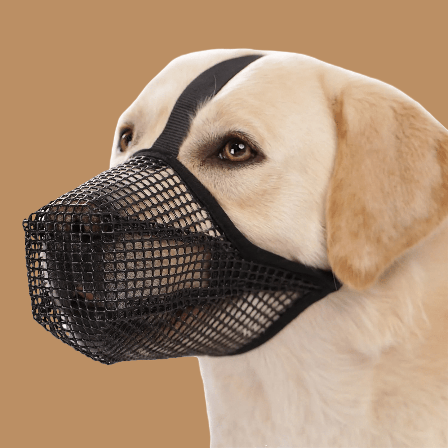 Muselière pour chien | Maille douce - Les chiens beaux