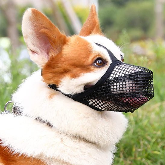 Muselière pour chien | Maille douce - Les chiens beaux