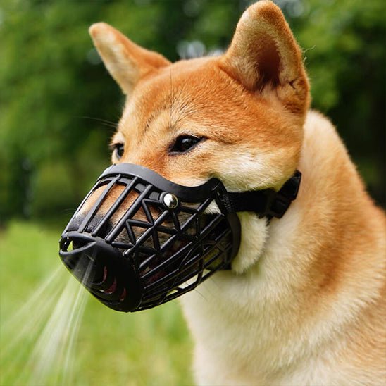 MUSELIERE POUR CHIEN | MASQUE BUCCAL - Les chiens beaux