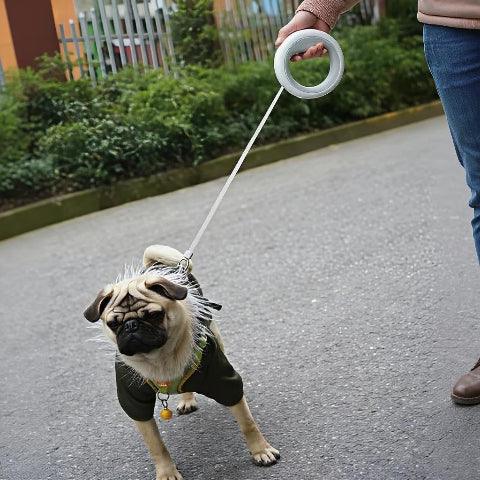 proprietaire qui promene son bulldog avec la laisse pour chien led retractable