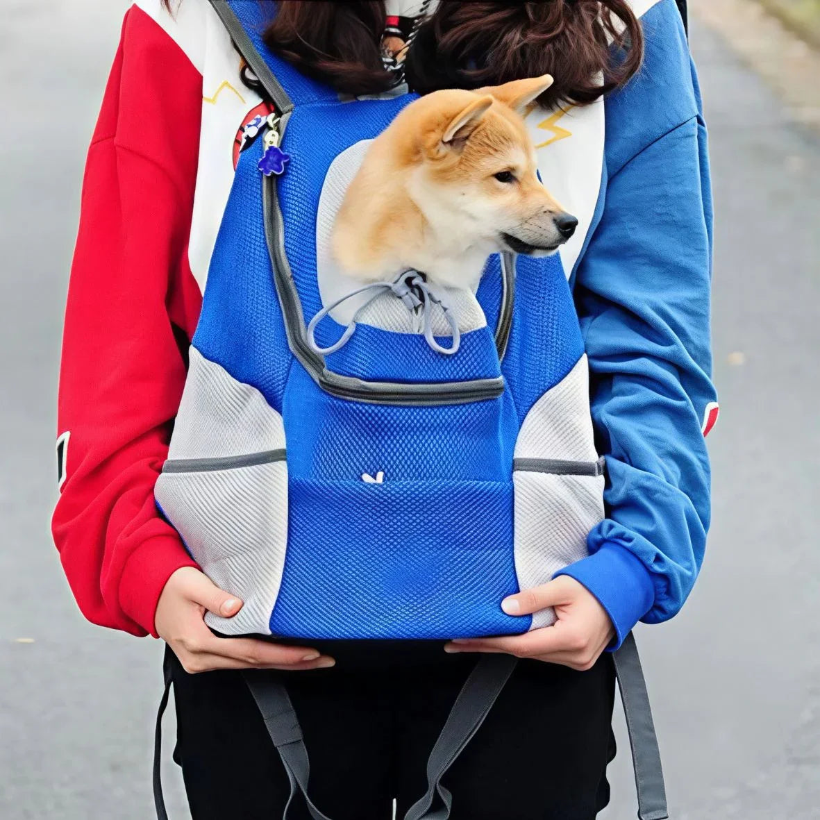 SAC A DOS CHIEN EN MAILLE | CARRYPAW