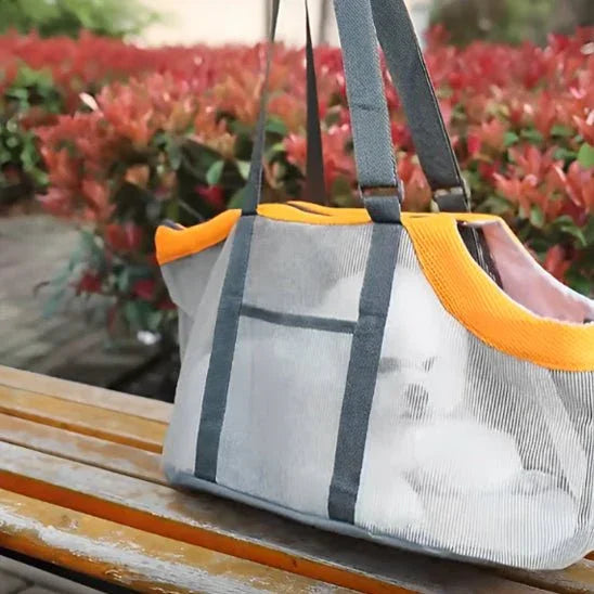 Sac pour chien fourre - tout transparent pliable | PawBag - Les chiens beaux