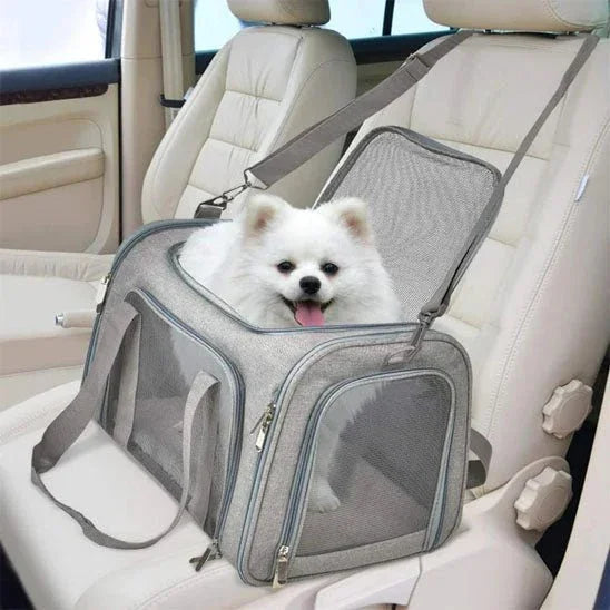 SAC POUR CHIEN GRIS | BOITE DE TRANSPORT - Les chiens beaux