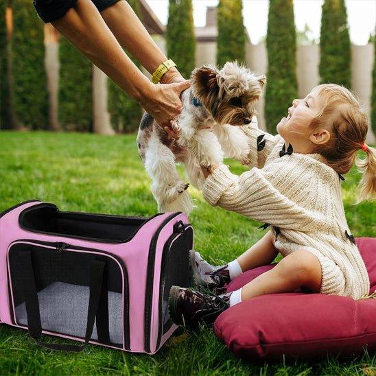 SAC POUR CHIEN ROSE | BOITE DE TRANSPORT - Les chiens beaux