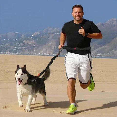 un homme qui court avec son husky qui porte la laisse pour chien ceinture mains libres reglable