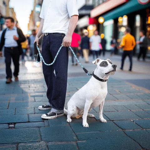 un homme qui tire son bulldog qui porte la laisse pour chien rembouree