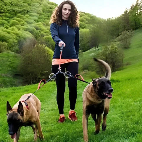 une fille qui se promene avec ses chiens avec la laisse double chien double corde rouge