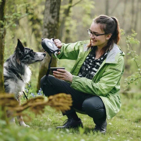 une fille qui sert del 'eau a son border collie en utilisant la bouteille de la laisse pour chien multifonction 3 en 1  noire