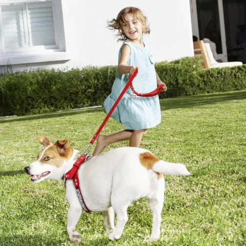une jeune fille qui court avec son beagle portant le harnais pour chien en cuir suede souple SFP durable