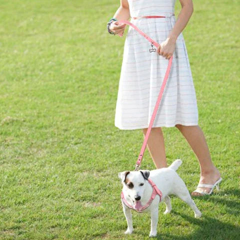 une jeune fille qui marche avec son chien portant le harnais pour chien en cuir suede souple SFP indispensable